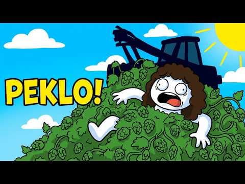 Brigáda za 30 000 Kč? Kdybych to věděla dřív…
